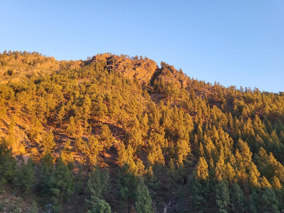Casa Rural Los Pinares El Juncal De Tejeda Kültér fotó