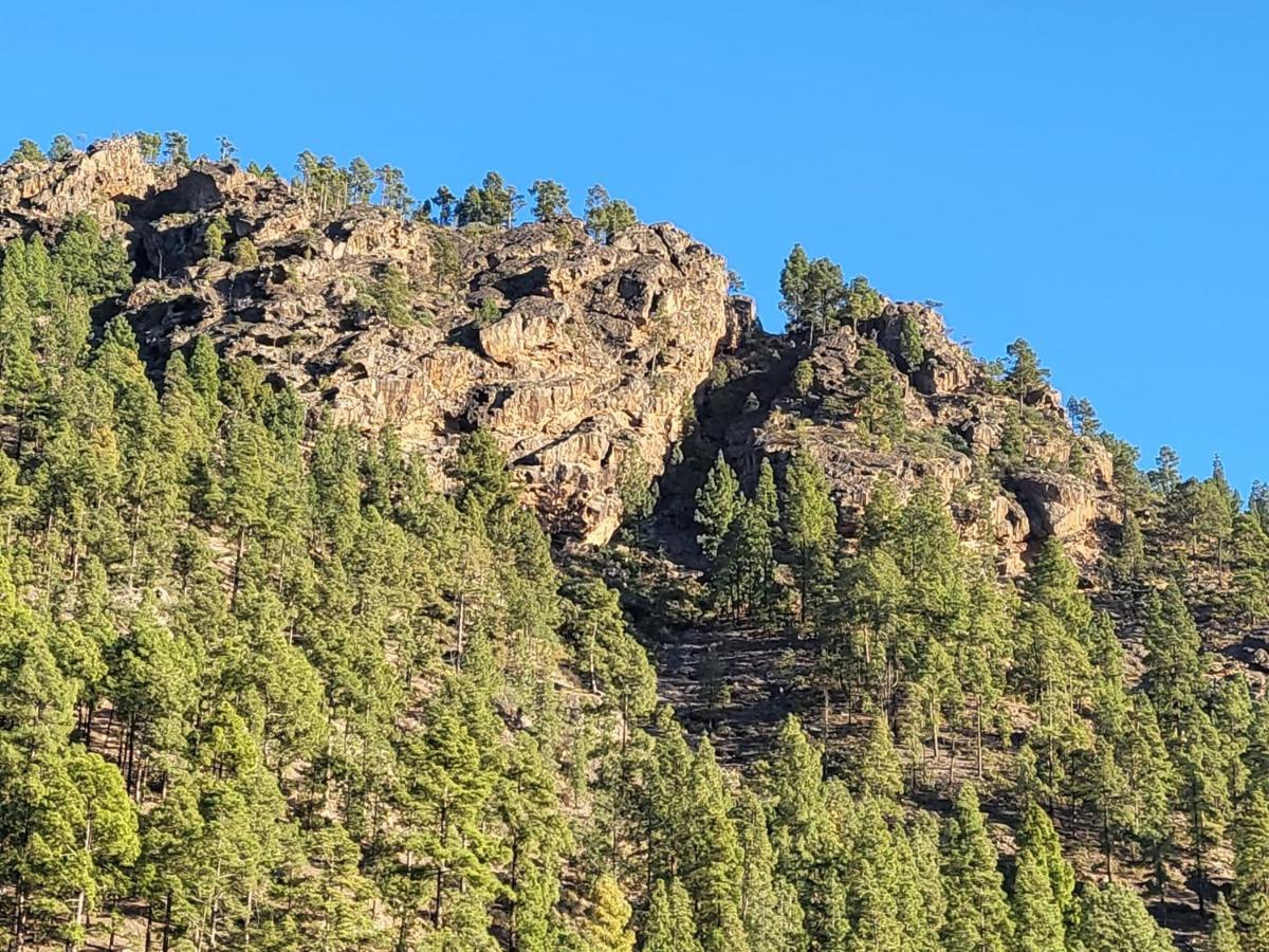 Casa Rural Los Pinares El Juncal De Tejeda Kültér fotó