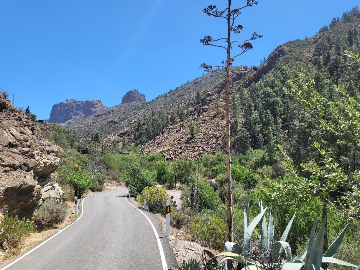 Casa Rural Los Pinares El Juncal De Tejeda Kültér fotó