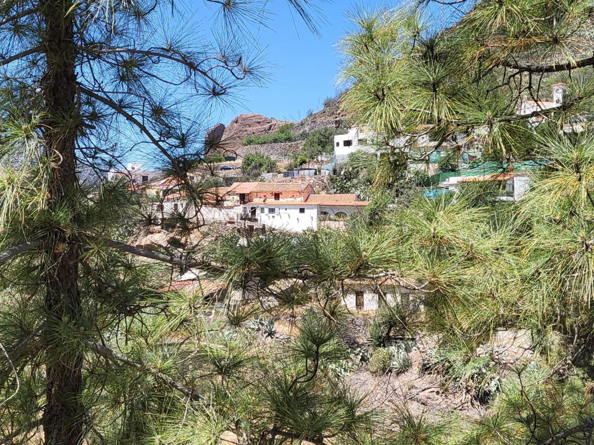 Casa Rural Los Pinares El Juncal De Tejeda Kültér fotó