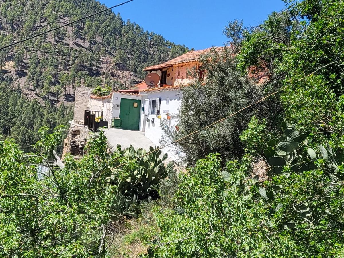 Casa Rural Los Pinares El Juncal De Tejeda Kültér fotó