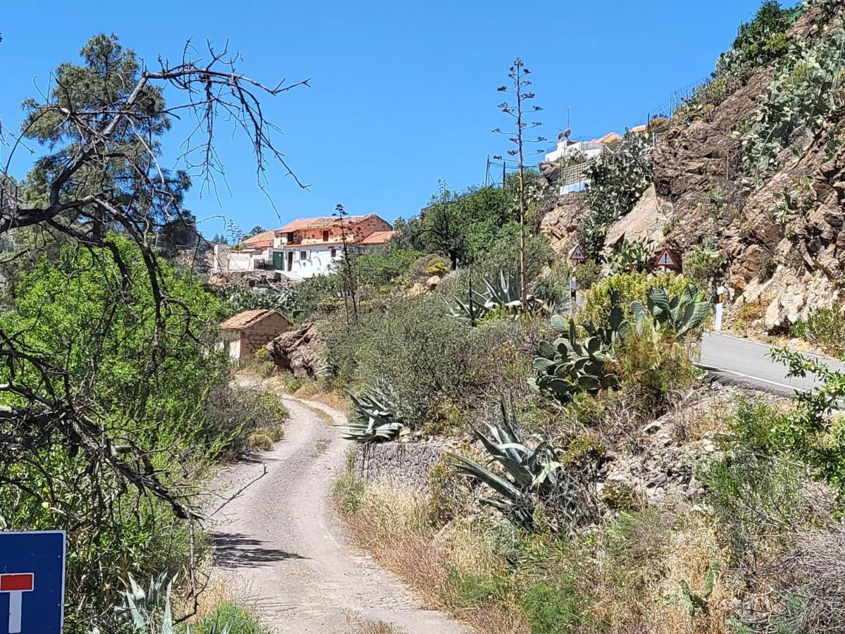 Casa Rural Los Pinares El Juncal De Tejeda Kültér fotó
