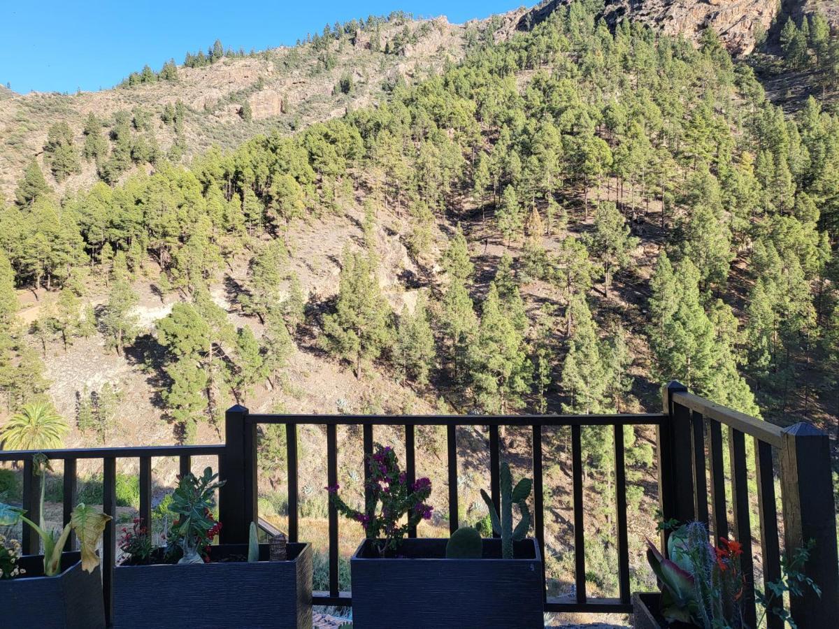 Casa Rural Los Pinares El Juncal De Tejeda Kültér fotó