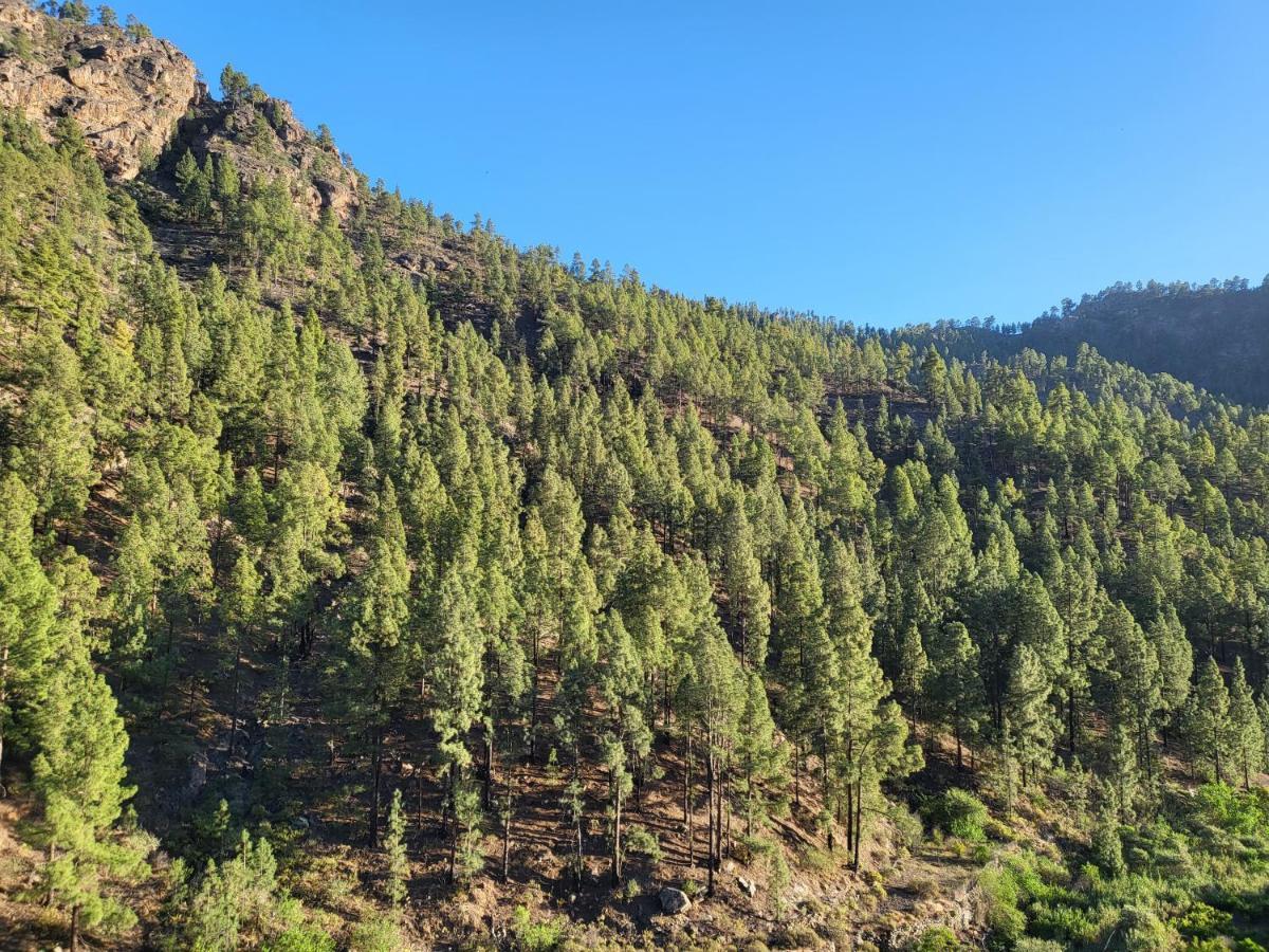 Casa Rural Los Pinares El Juncal De Tejeda Kültér fotó