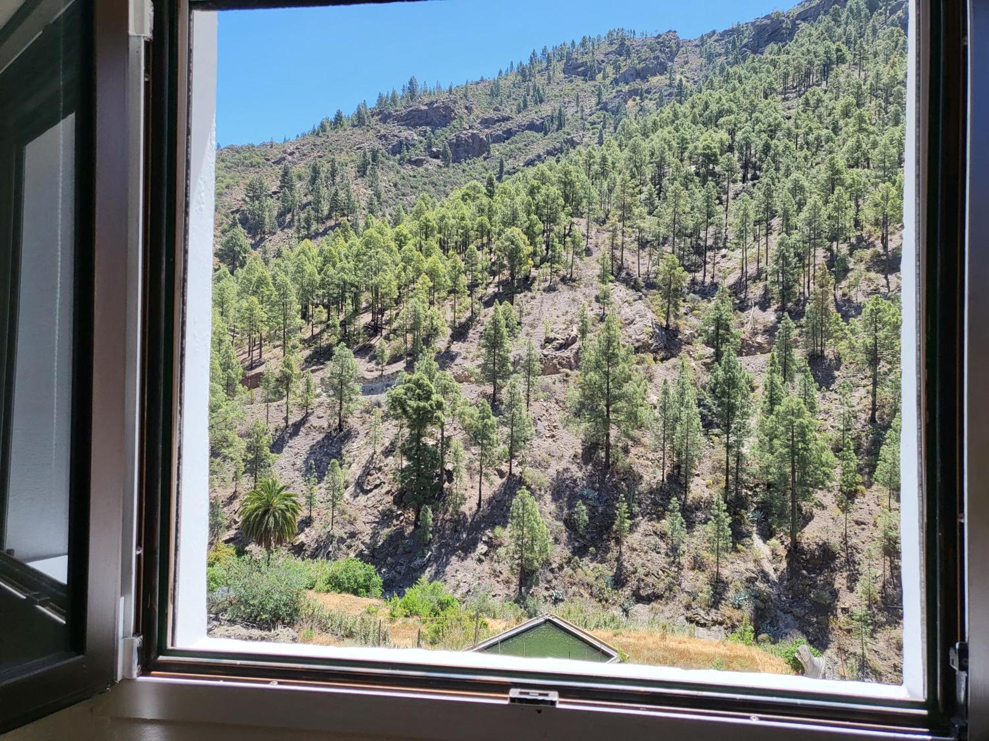Casa Rural Los Pinares El Juncal De Tejeda Kültér fotó